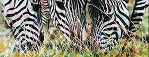 Зебры в траве. Батик. 47 x 117. 2004.